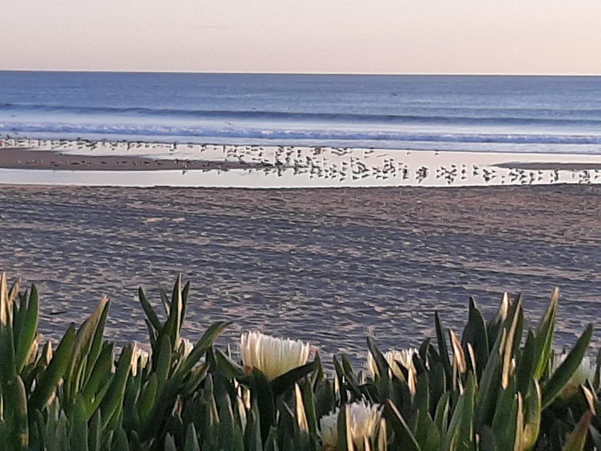 Av. 1º De Maio Leilighet Costa de Caparica Eksteriør bilde